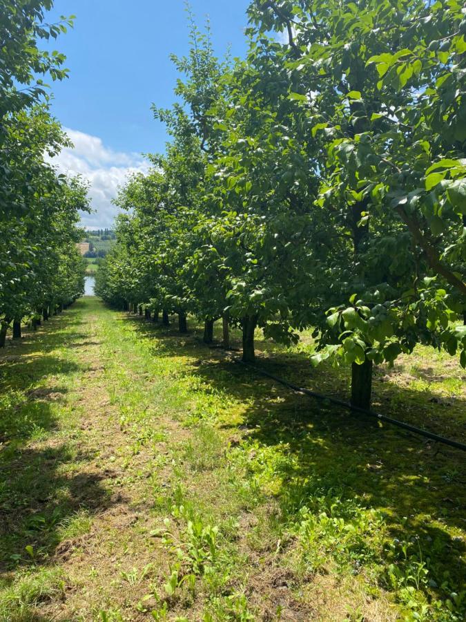 Gite La Garrigue Montbarla 外观 照片