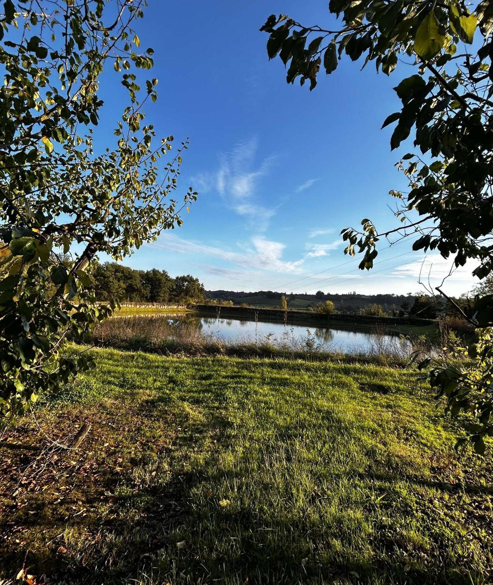 Gite La Garrigue Montbarla 外观 照片